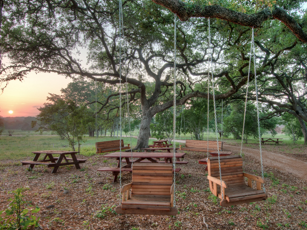 Swings under the Cathedral Oaks