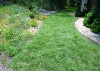 Habiturf®: The Ecological Lawn