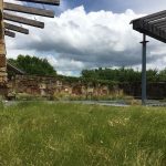 Robb's Roost Green Roof