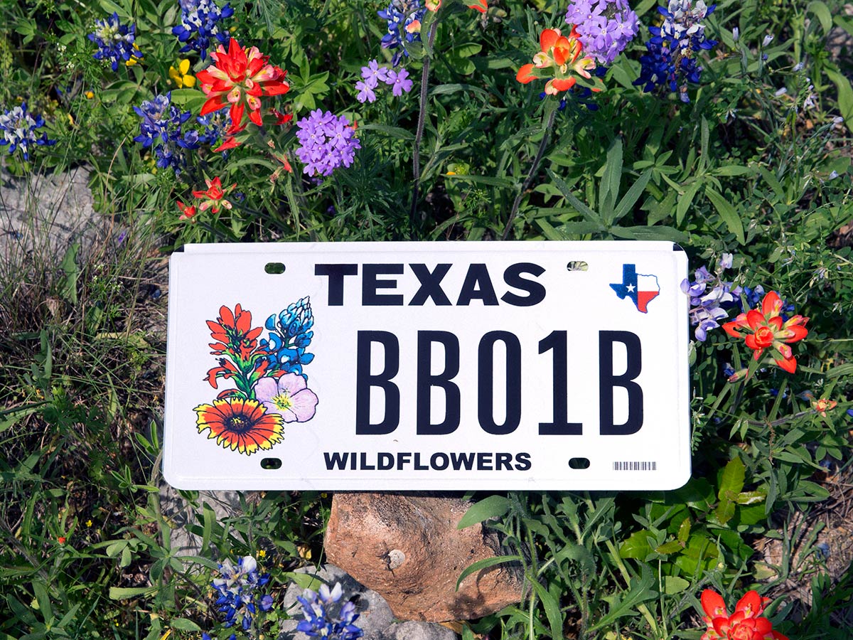 Wildflower license plate