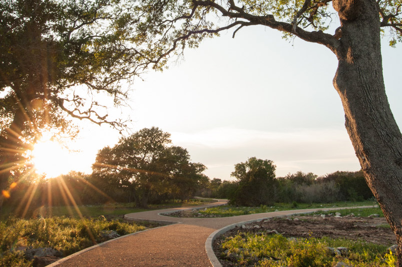 The Arboretum Trail gets sun-kissed. Photo: Wildflower Center.
