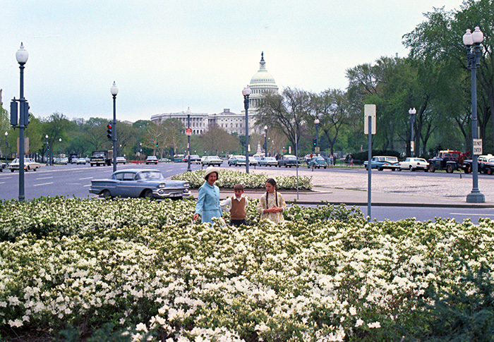 In a picture made possible by Lady Bird Johnson’s efforts to make a more beautiful capitol city, the first lady and two young people stand among blooming white azaleas in Washington. Photo: LBJ Library Photo by Robert Knudsen