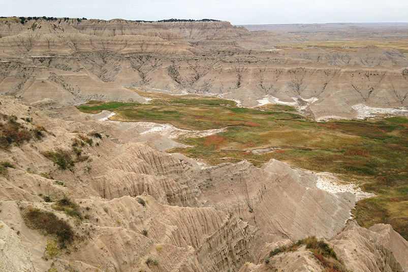 The terrain at Badlands National Park, where bison and other wildlife enjoy thousands of acres of mixed-grass prairie. Photo: Jonathan Garner