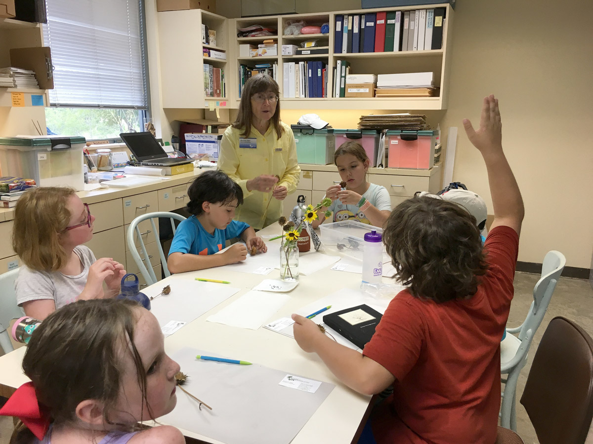 Minette teaching children about botany during Camp Wildflower in 2016.