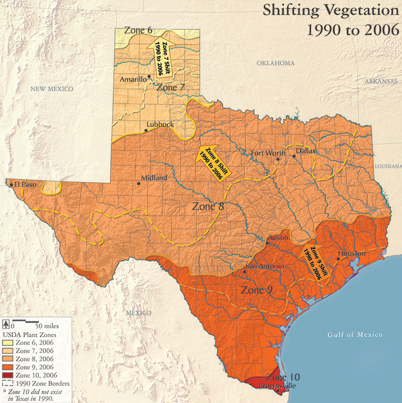Shifting Vegetation 1990-2006