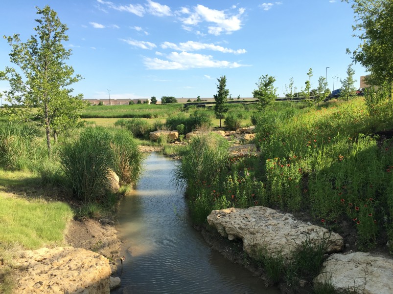 A restored stream runs through the Bluestem Park prairie among native grasses, trees and wildflowers. Photo: Joanna Wojtkowiak.
