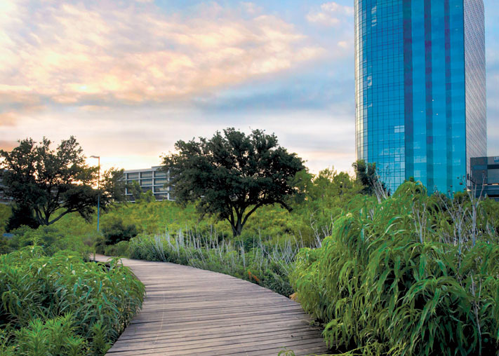 In the designed urban ecosystem at the George W. Presidential Center in Dallas, a bridge flanked by native plants extends over a bioswale that funnels rainwater into a cistern used for irrigation. Photo: John W. Clark