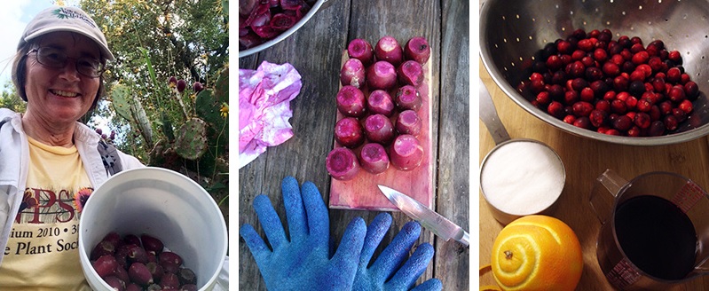 LEFT: Minnette Marr, harvester of prickly pear tunas. CENTER: Peeled tunas and a magenta-stained cutting board. RIGHT: Cranberries, prickly pear juice and other ingredients await saucification. Photos: Amy McCullough