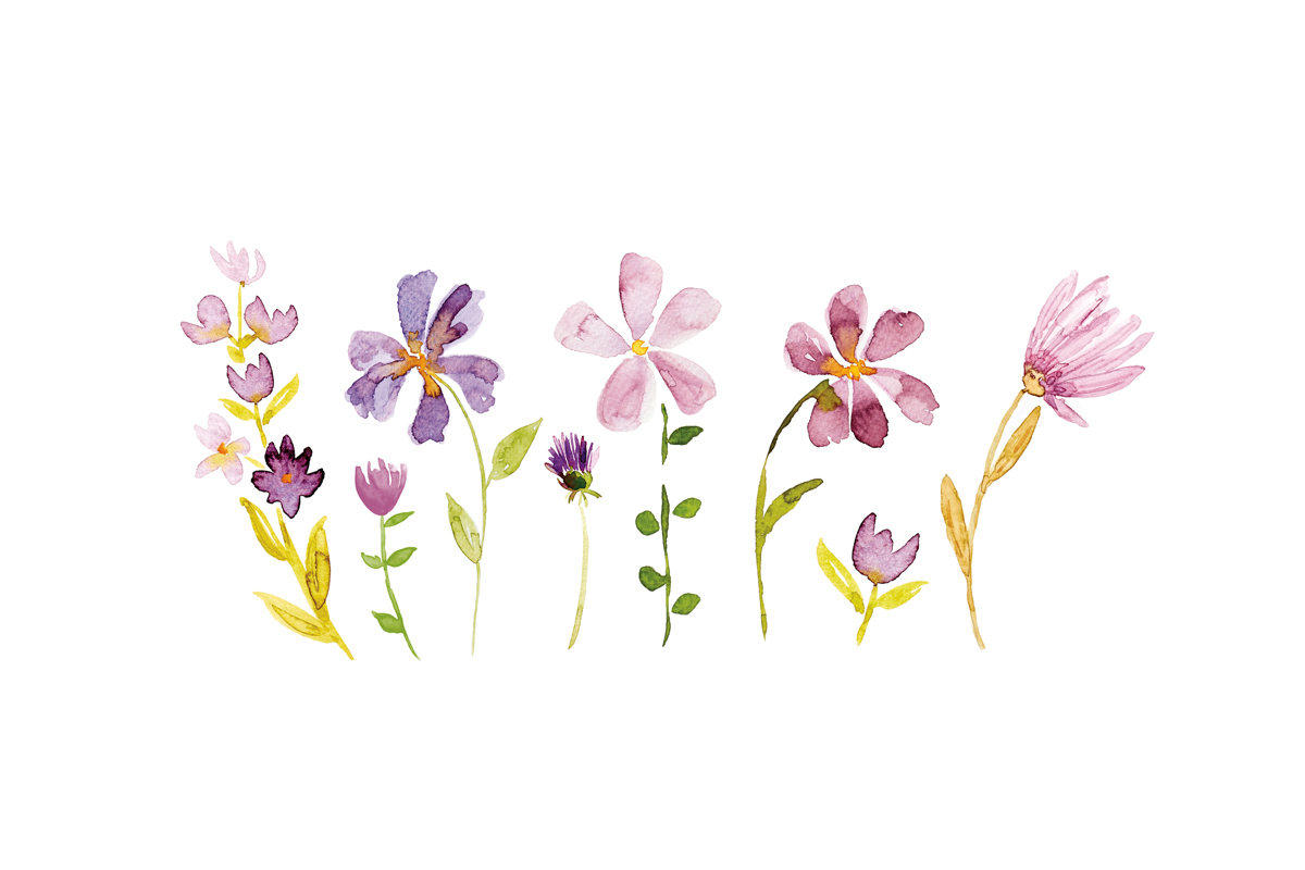 Wildflower watercolors class
