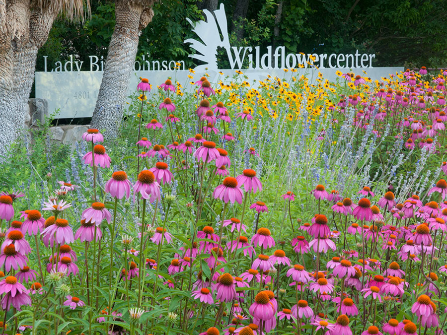 Lady Bird Johnson Wildflower Center Entrance