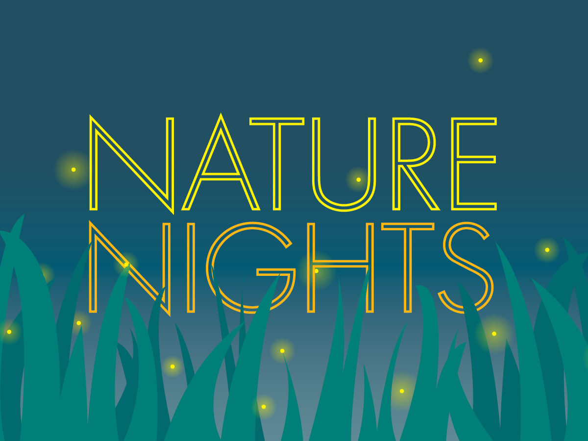 Nature Nights web banner