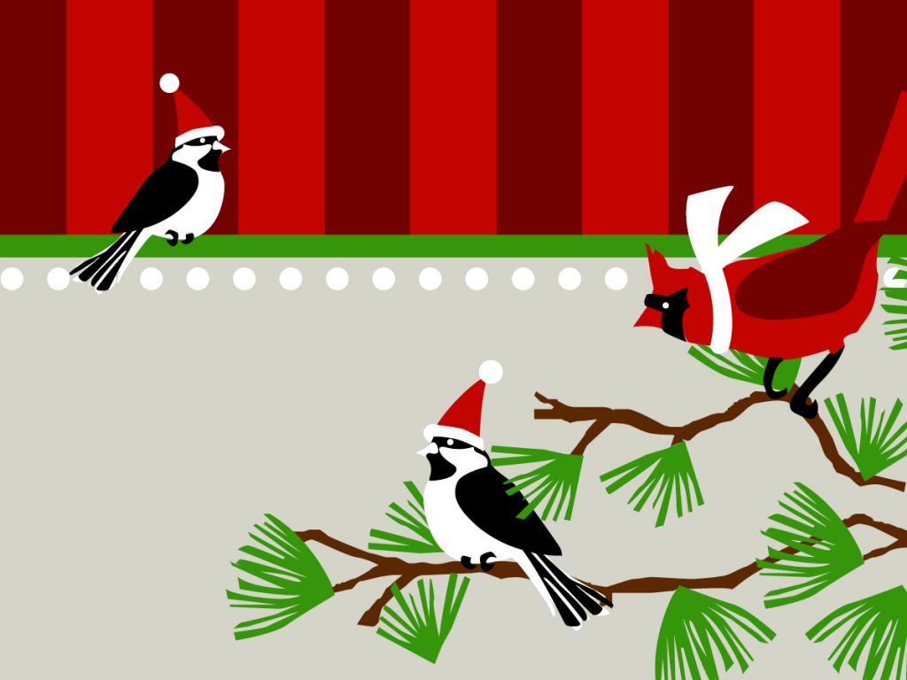 Illustration of birds for Holly Days winter sale at the Wildflower Center