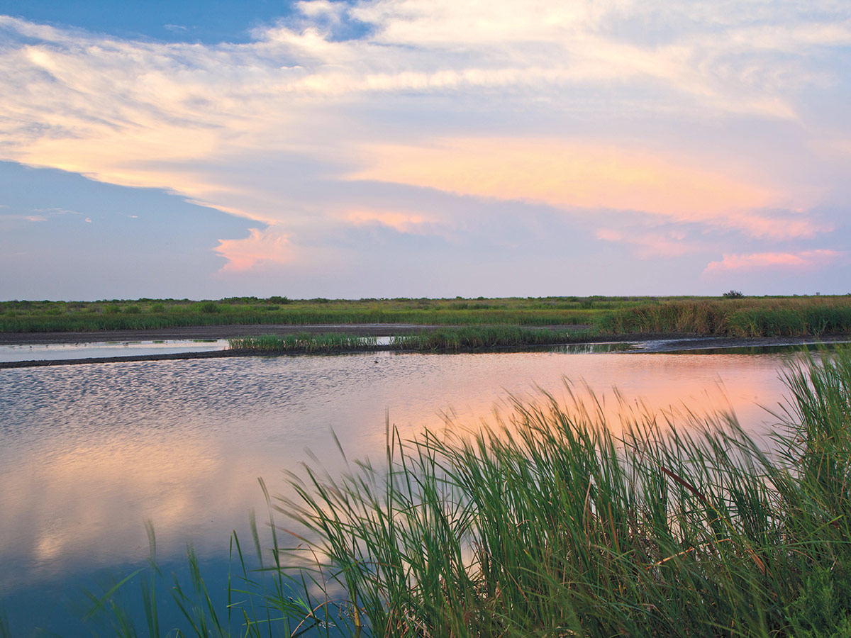 The brackish lowlands of the Texas coast are a far cry from the arid expanses to the far west, further exemplifying Texas’ natural diversity. PHOTO Laurence Parent