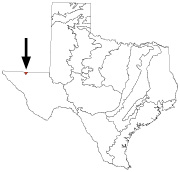 Texas Ecoregions Arizona New Mexico Mountains