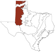 Texas Ecoregions High Plains