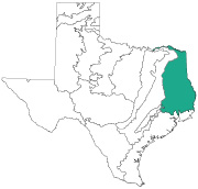 Texas Ecoregions South Central Plains