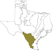 Texas Ecoregions Southern Texas Plains