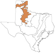 Texas Ecoregions Southwestern Tablelands