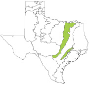 Texas Ecoregions Texas Blackland Prairies