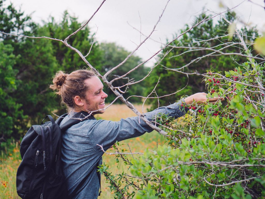 young man with backpack reaches up into a green shrub