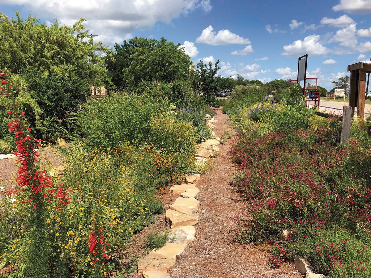 Native plants flourish to the delight of humans and pollinators at Fort Hood. PHOTO Jackelyn Ferrer-Perez