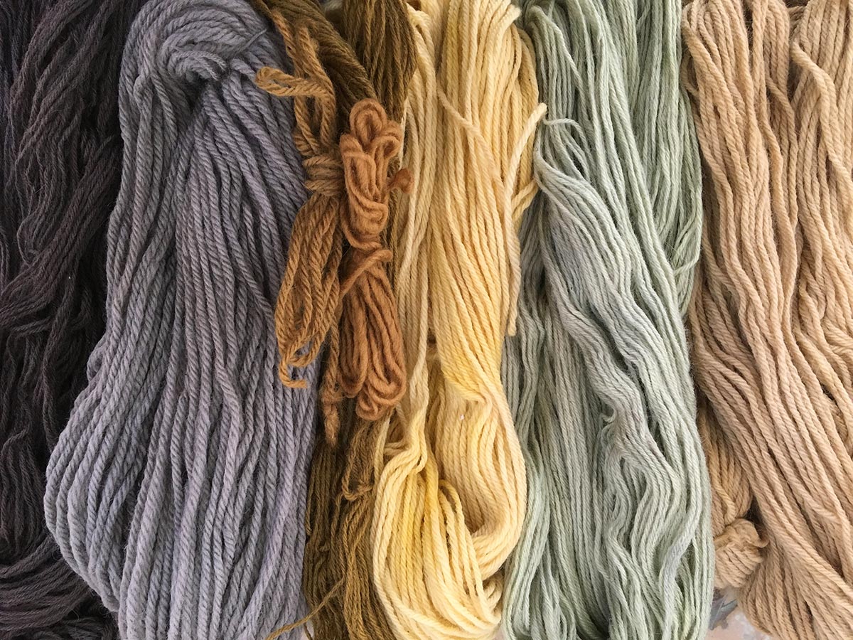 Several skeins of natural-dyed yarn in various muted colors.