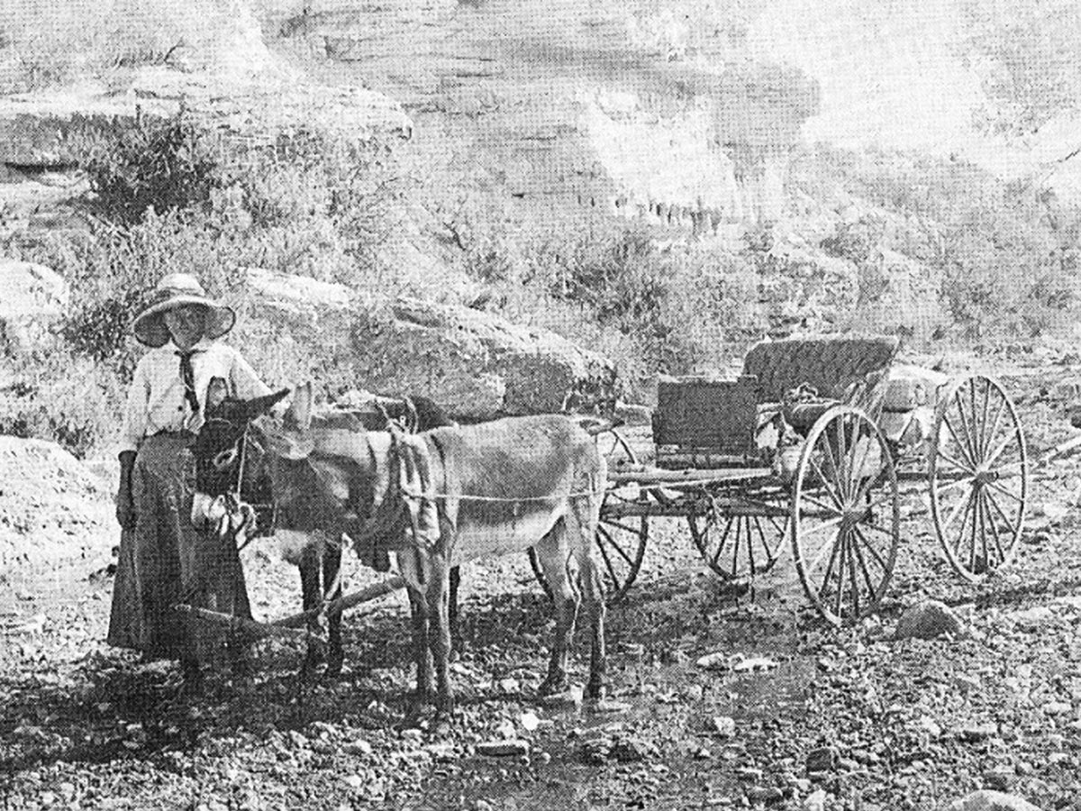 Mary Sophie Young and burros