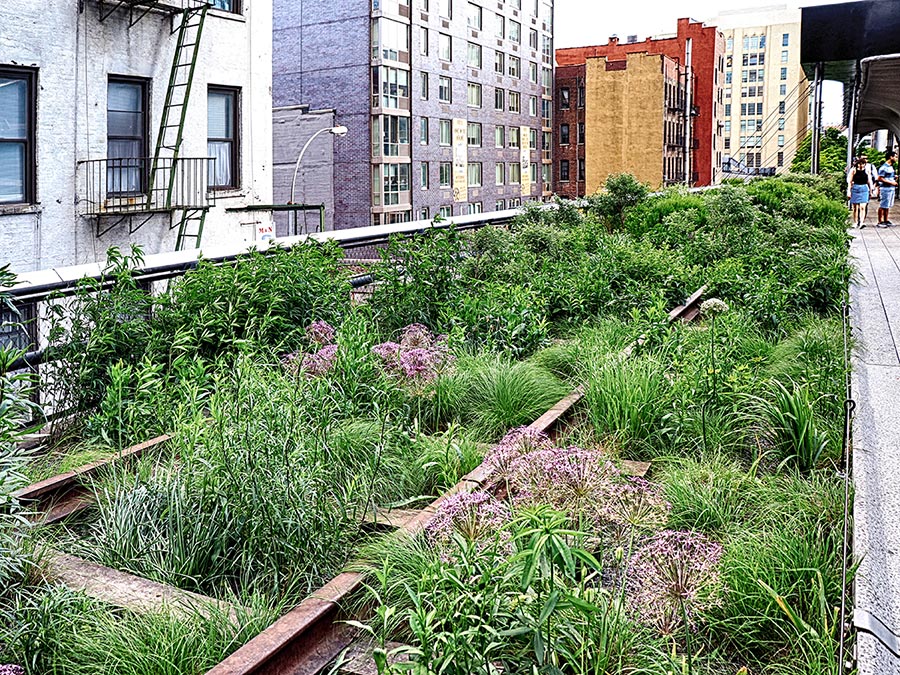 Rails and plants at the High Line