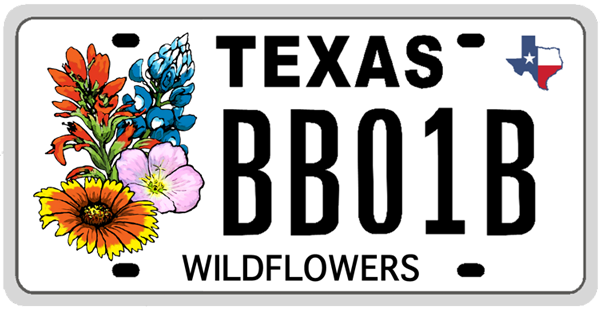 Wildflowers Texas license plate