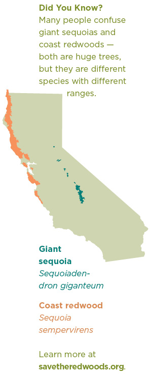 Sequoia Redwood map