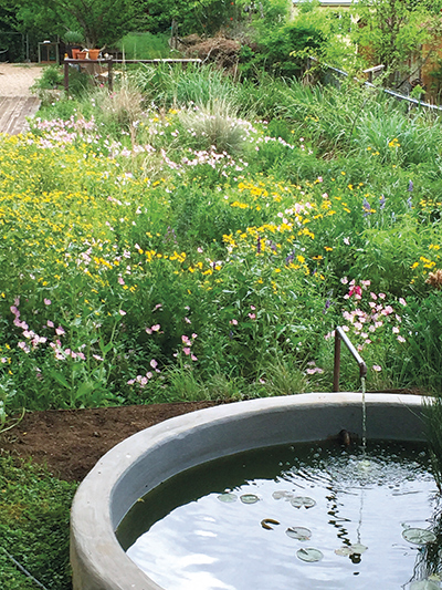 Wildflower Center Environmental Designer John Hart Asher added this water feature to his backyard prairie and stocks it with native fish.