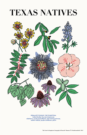 Risograph print of Texas native plants