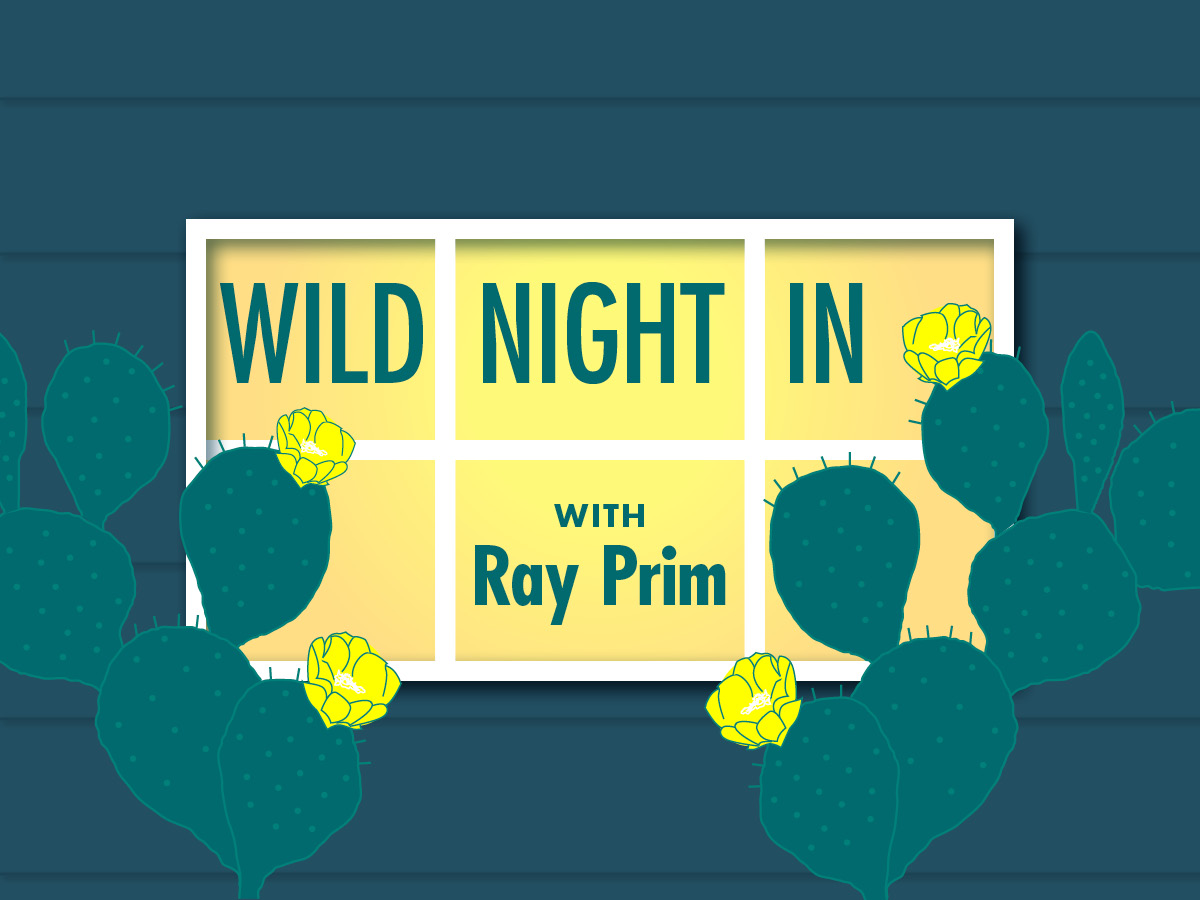 A graphic of a window surrounded by blossoming cacti. Through the window, teal text on a yellow background reads "Wild Night In with Ray Prim.