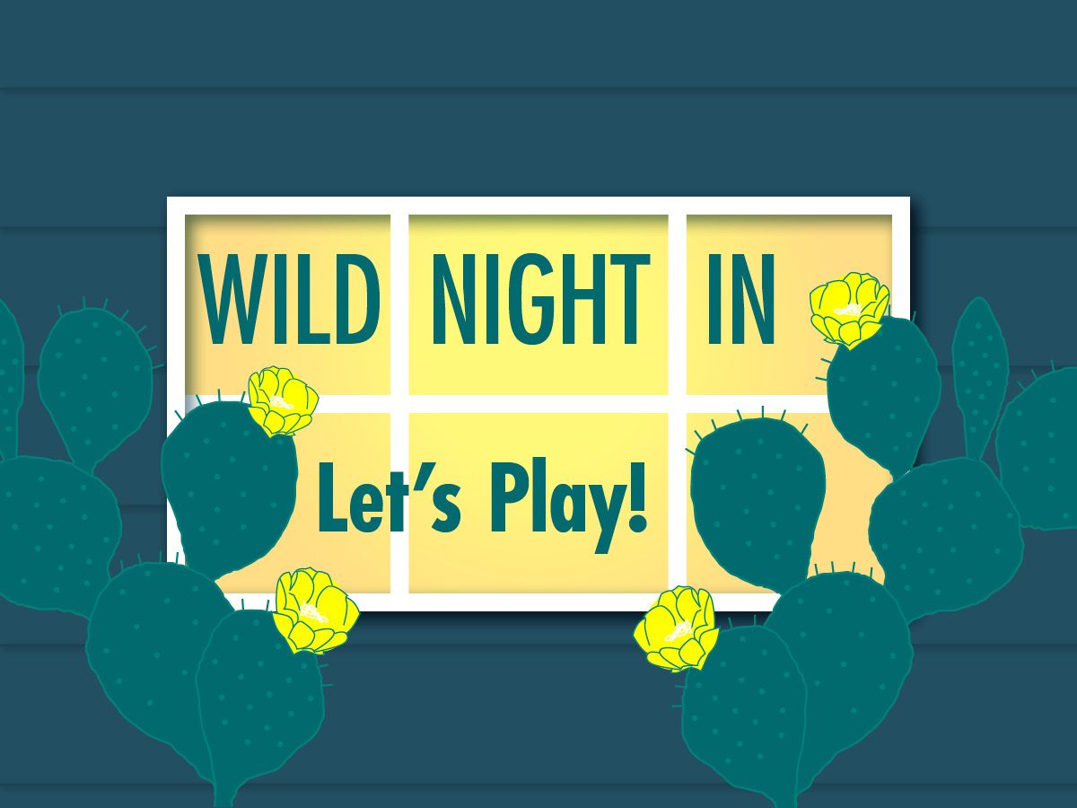 Wild Night In graphic of windows at night and prickly pear paddles with Let's Play! subhead