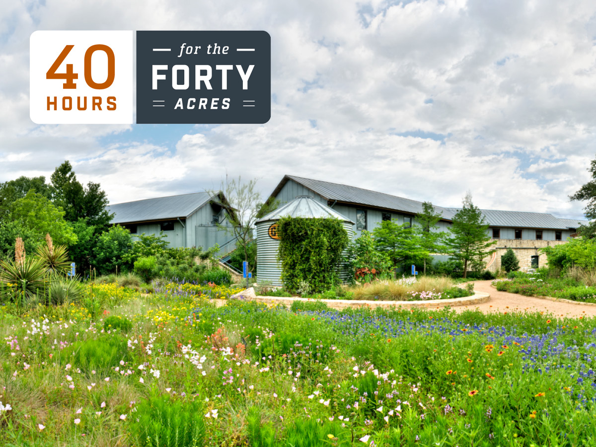 40 Hours for the Forty Acres logo over a photo of wildflowers blooming at the Wildflower Center