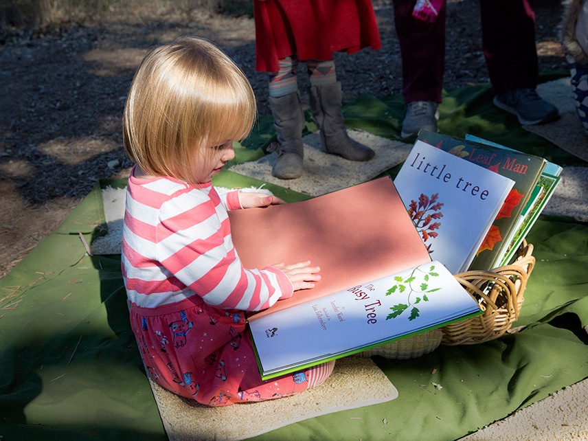 Young blond girl sitting on a green blanket looking at a book called The Busy Tree.