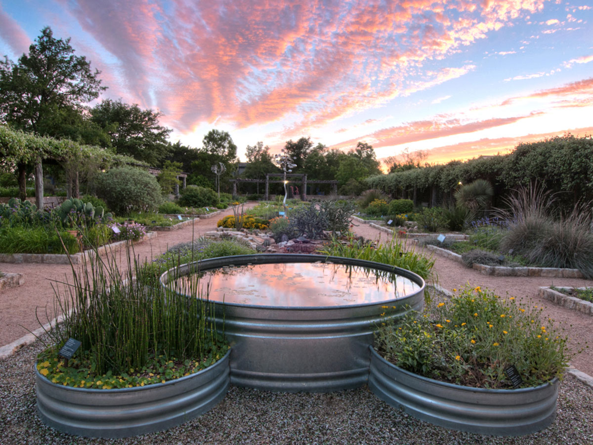Pink sunset and clouds reflected in a stock tank pond in the Wildflower Center's Theme Gardens