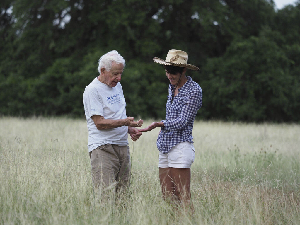 Nonagenarian J. David Bamberger and journalist Pamela LeBlanc stand in a field surrounded by light green, thigh-high grass with a backdrop of dark green trees (out of focus). He wears khaki pants and a grey tee and has wavy white hair, and she wears white shorts, a blue and white gingham button up top with a structured straw hat over short brown hair. They are holding out their hands and looking down at a plant he is holding and she is smiling.