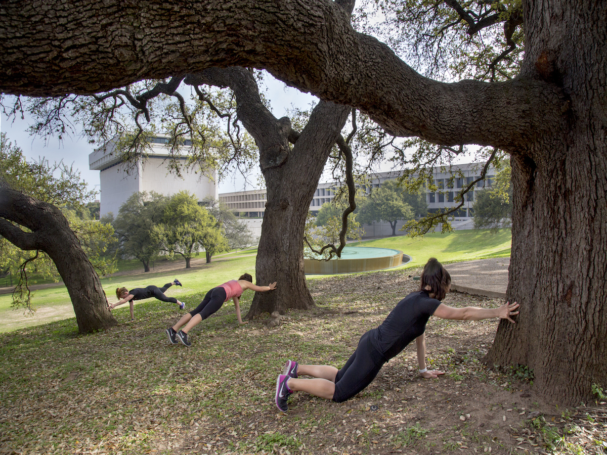 Three women in athletic wear balance against tree trunks while performing a plank yoga pose.