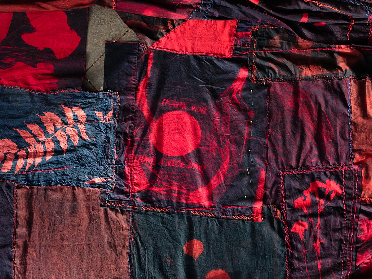 A variety of cyanotypes showing the outline of plants overdid with red and stitched together.
