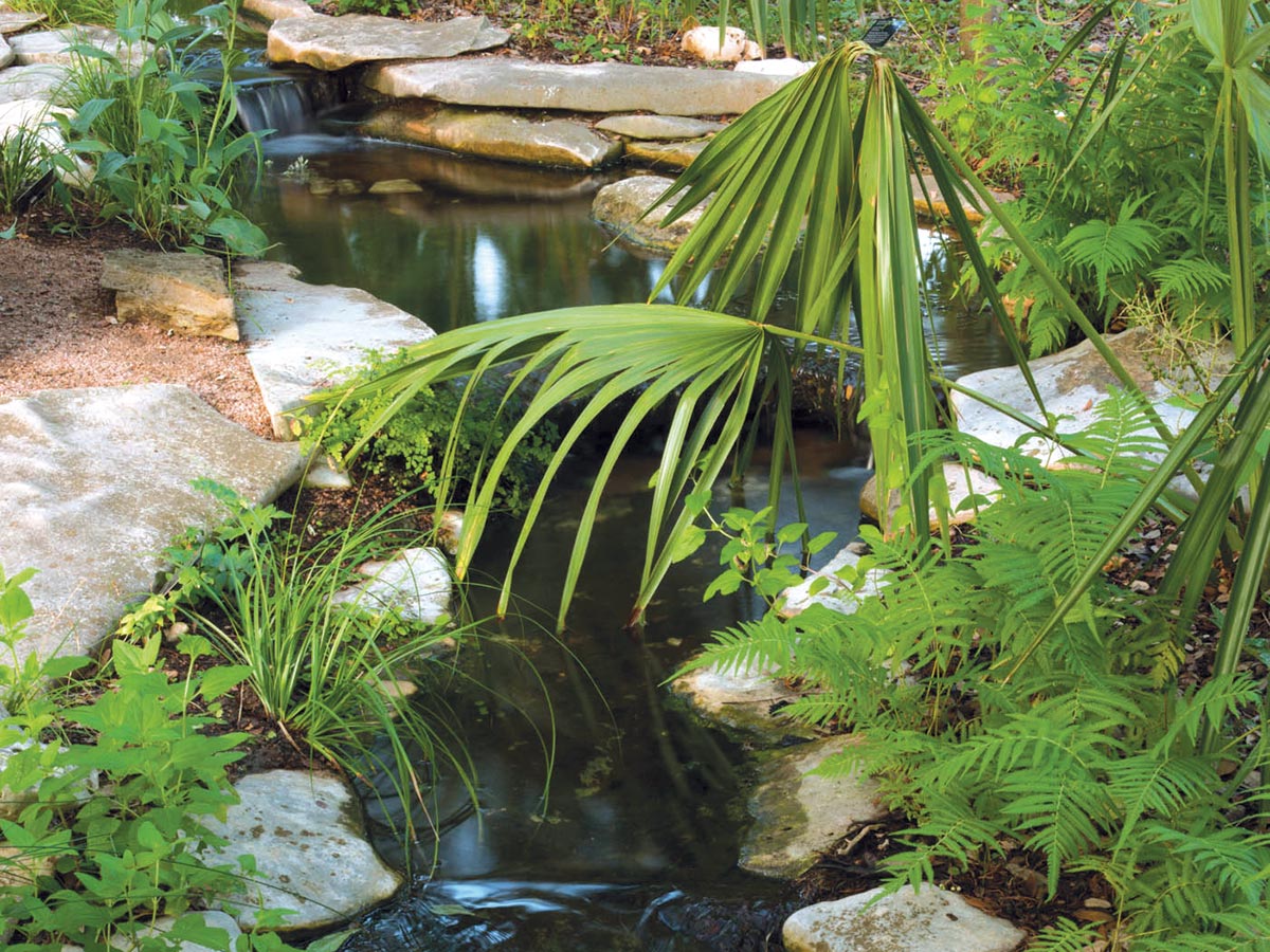 A water garden scene with green palmetto fronds, fern leaves and other greenery alongside smooth white rocks and calm water.