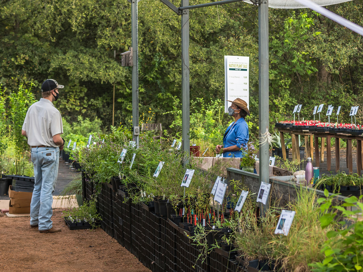 A masked staff member in a sunhat discusses with a customer at a plant sale pop-up. They are surrounded by all different types of native plants and wildflowers.