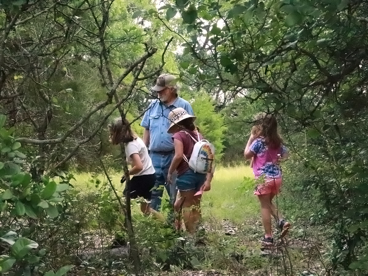 A group of young girls explore a path in a clearing with land steward Dick Davis.