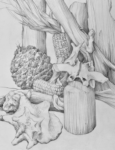Black and white sketch of natural objects using graphite pencils by artist Priscilla Humay