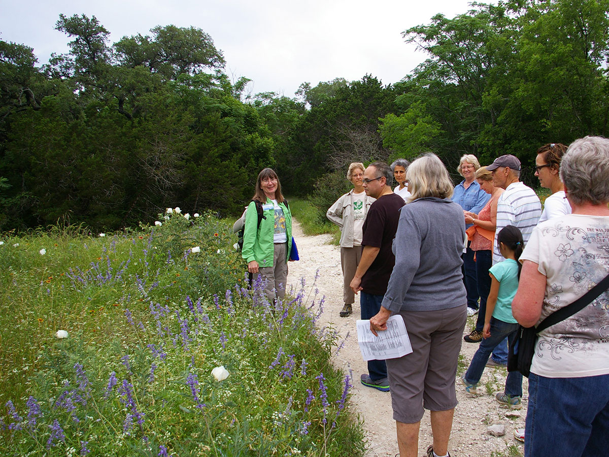 A group of mostly adults, one child, are led on a tour. There is a field of wildflowers to the left and green trees in the background.