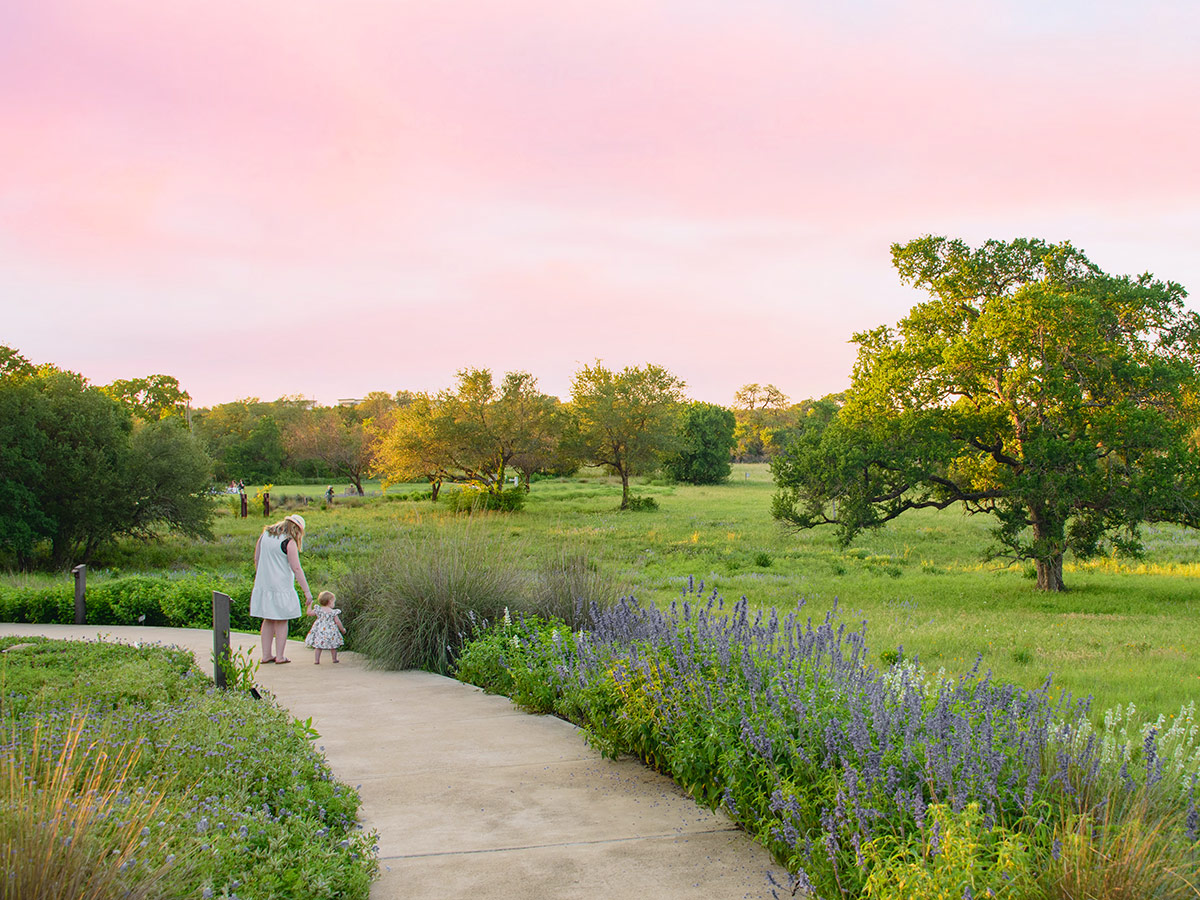 A parent and child walking on a path bordered by wildflowers and native grasses, a pink and orange sunset in the background.