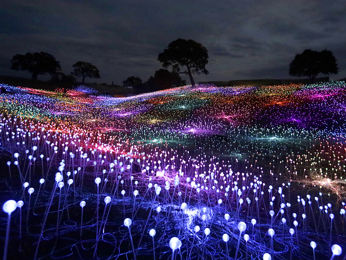 A field at night, lit up by thousands of small multicolored lights.