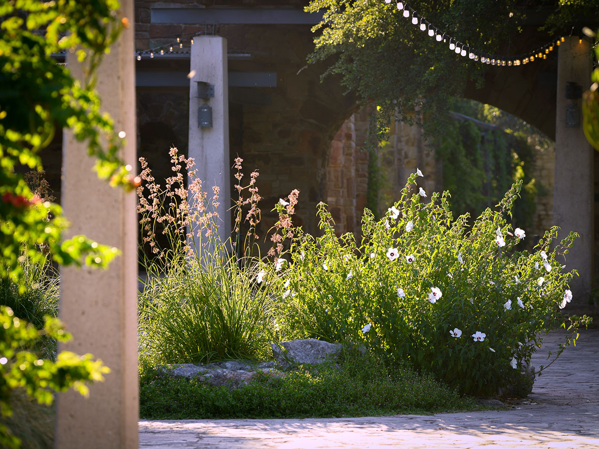 A spray of white and pink wildflowers in the center of a sunlit stone courtyard.